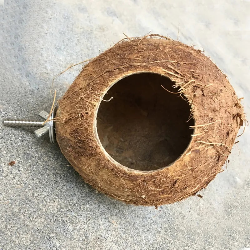 Coconut Shell Pet Squirrel Toy Hamster Squirrel Breeding Nest Crafts Delicate Bird House Pendant for Yard Garden